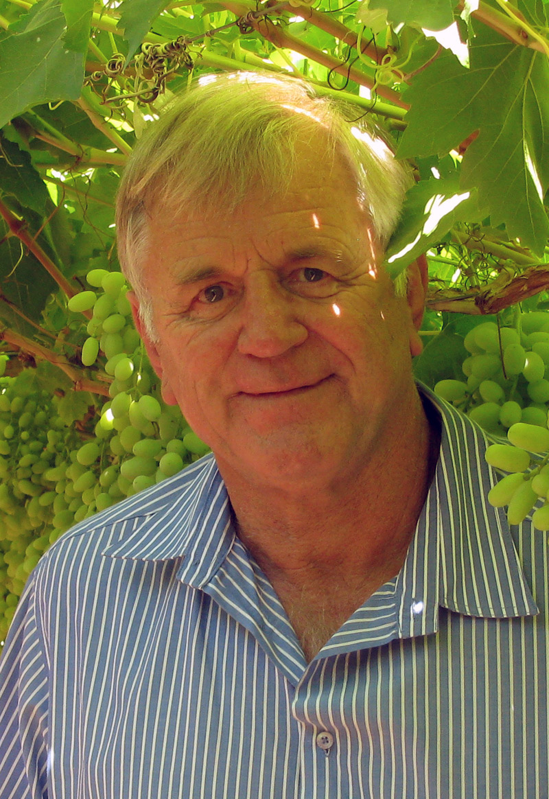 Anton-Viljoen