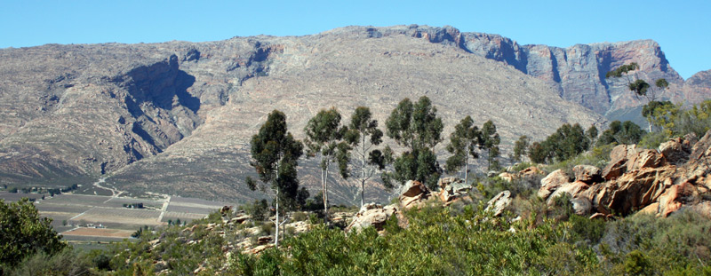 mountain-view